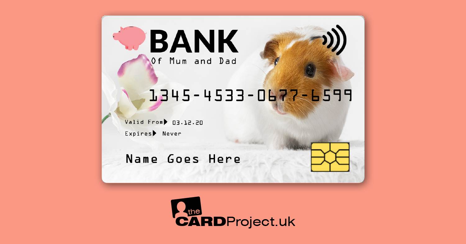 Kids Credit Card, Guinea Pig Design, Childs Playtime Money 